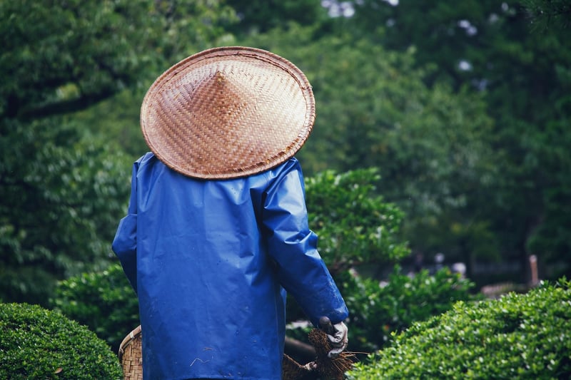 Mystical Gardening
